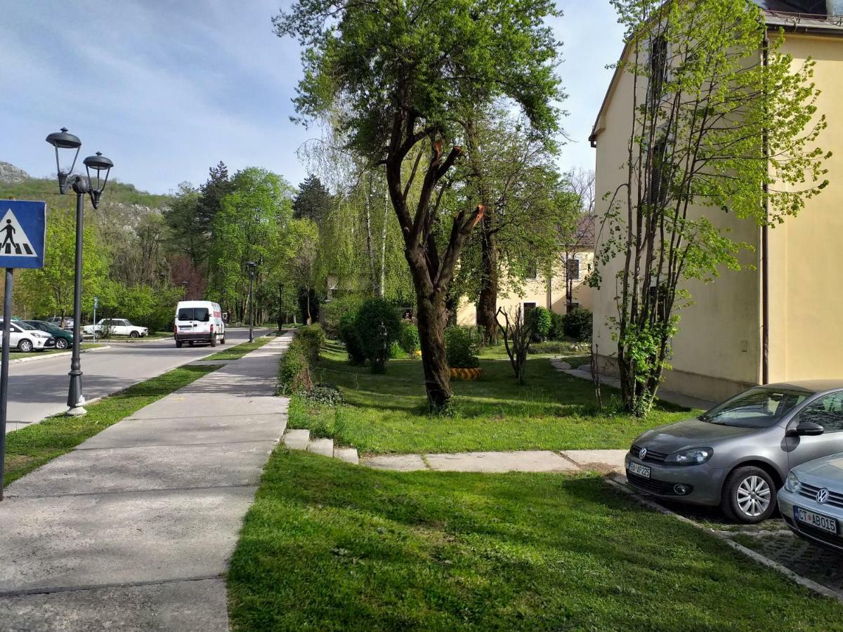 Apartman Donji Kraj Leilighet Cetinje Eksteriør bilde