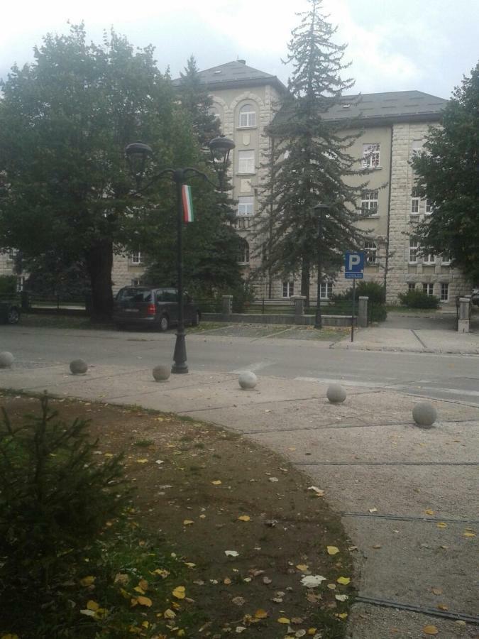 Apartman Donji Kraj Leilighet Cetinje Eksteriør bilde