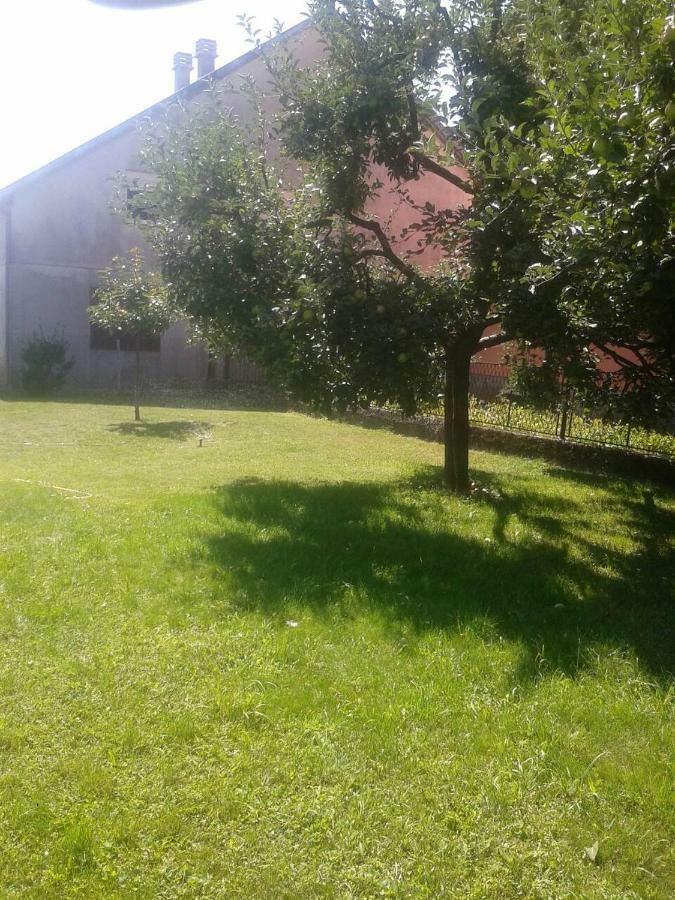 Apartman Donji Kraj Leilighet Cetinje Eksteriør bilde